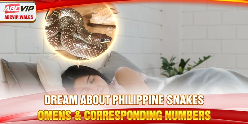 Dreaming About Snakes – Omens & Corresponding Numbers