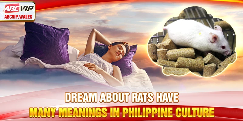 Dreaming about rats have many meanings in Philippine culture
