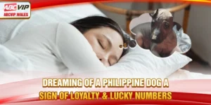 Dream About Dog – A Sign of Loyalty & Lucky Numbers