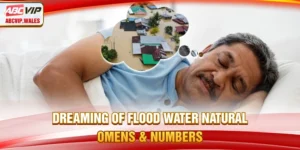 Dreaming of Flood Water – Natural Omens And Numbers