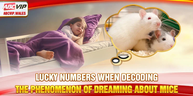 Lucky numbers when decoding the phenomenon of dreaming about mice