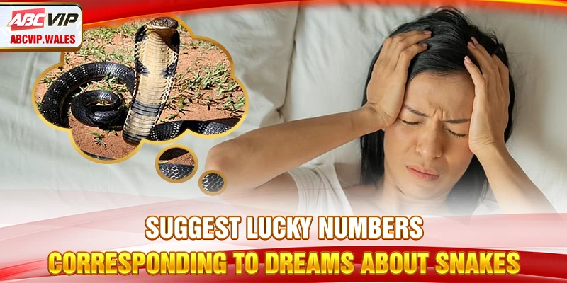 Suggest lucky umbers corresponding to dreams about snakes