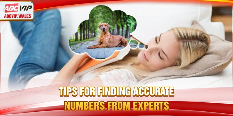 Tips for finding accurate numbers from experts